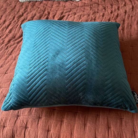 21x20 down filled for active pillow. Like new. Jade colored - Picture 3 of 5